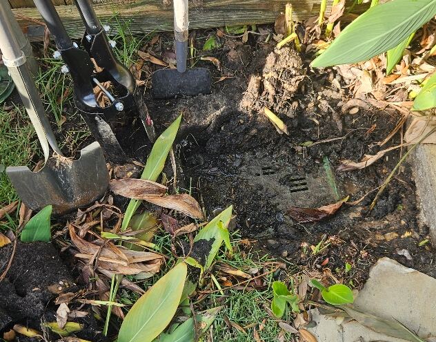 Irrigation valve box dug out and opened for inspection in a planted bed