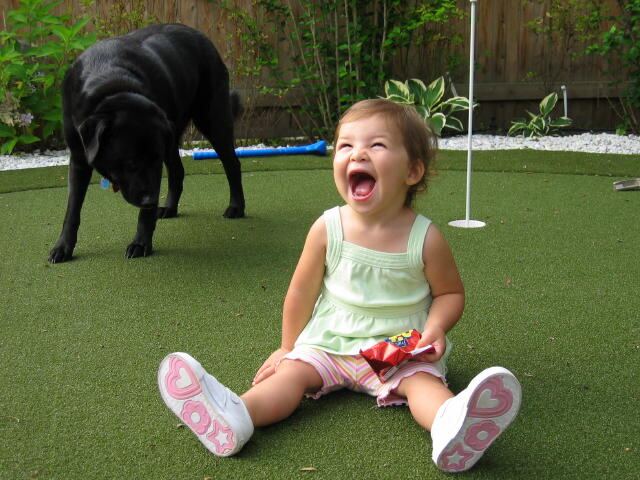 Child and dog playing on an artificial turf backyard