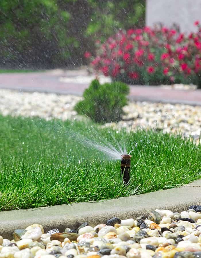 Sprinkler head watering a planted bed edged with river rock