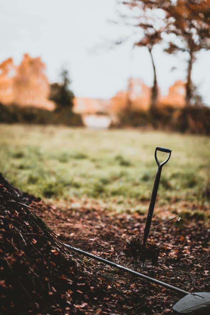 Fall Composting Tips for Richer Soil Next Spring