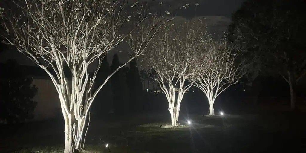 Outdoor Lighting Tips for Fall Safety and Curb Appeal