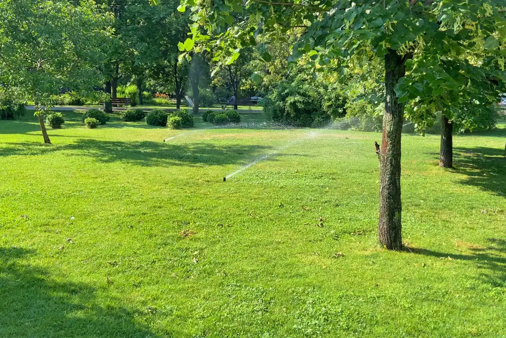 Irrigation Adjustments for Fall in Texas