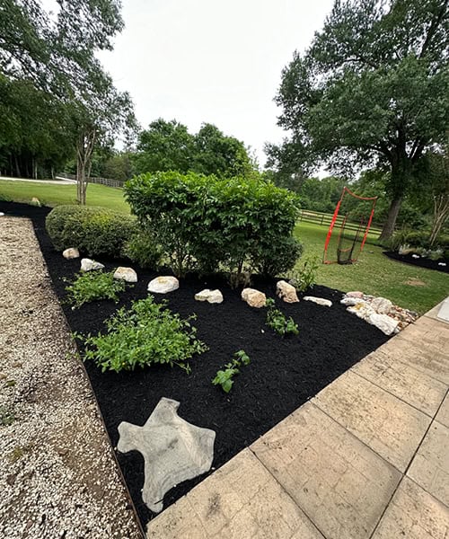 Landscape bed refreshed with dark mulch, shaped shrubs, decorative boulders and a Texas star stepping stone